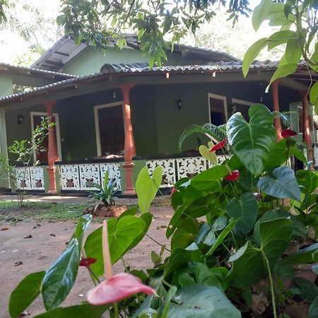 Green Bamboo House Sigiriya Luaran gambar