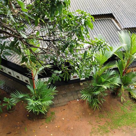 Green Bamboo House Sigiriya Luaran gambar