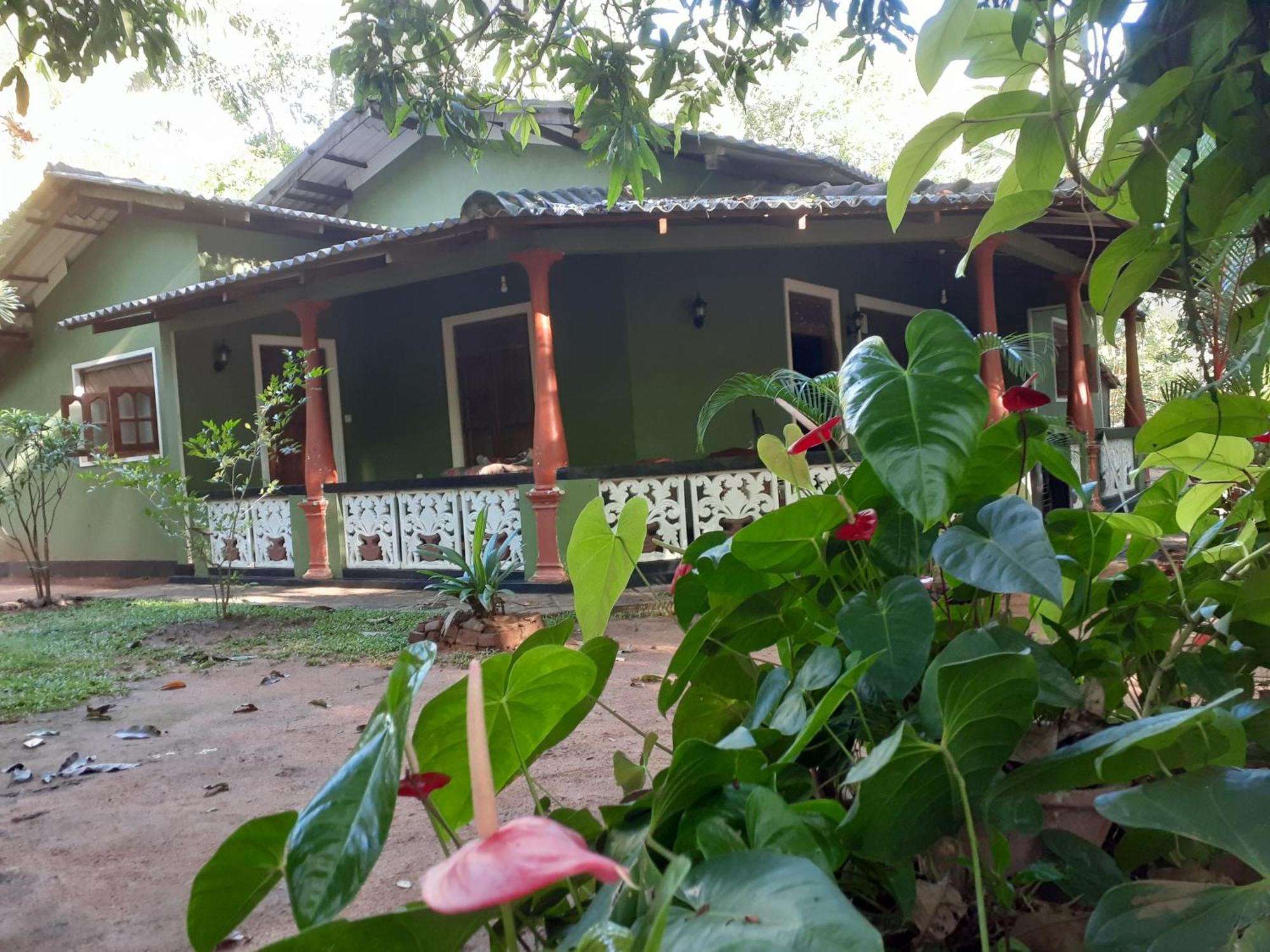 Green Bamboo House Sigiriya Luaran gambar