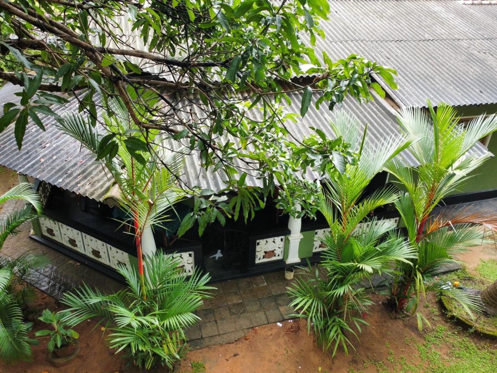 Green Bamboo House Sigiriya Luaran gambar