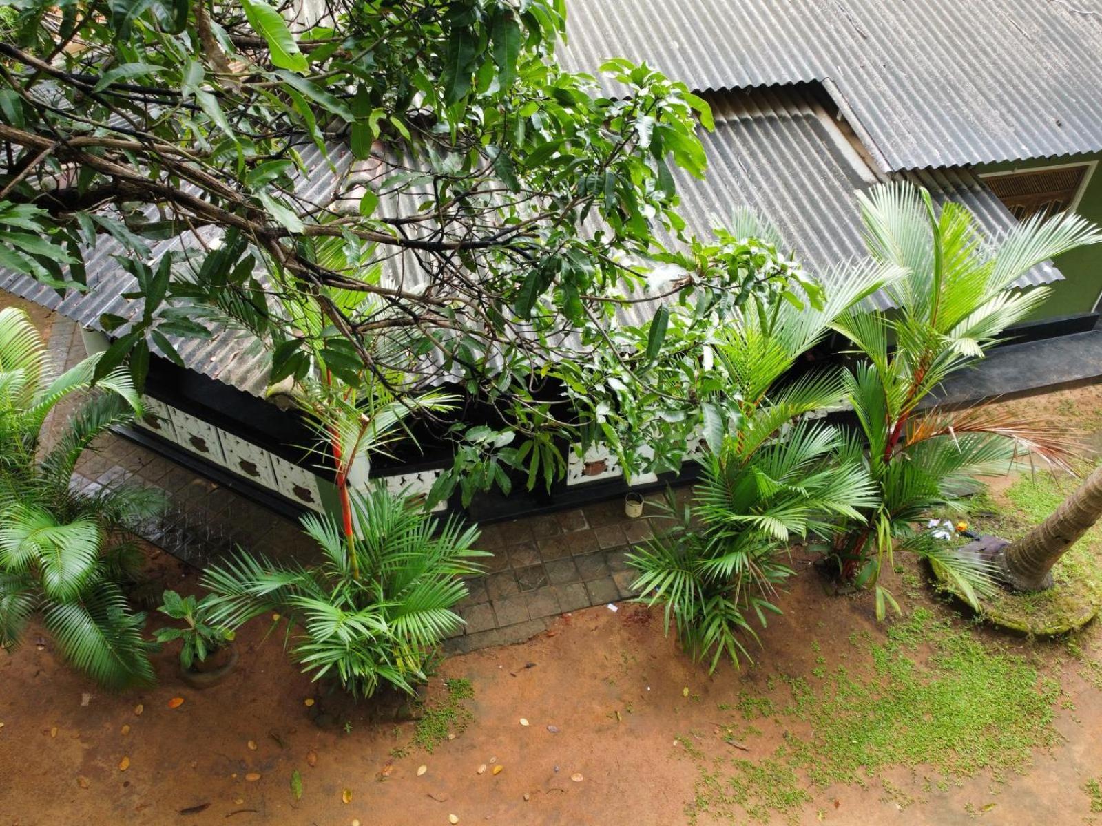 Green Bamboo House Sigiriya Luaran gambar