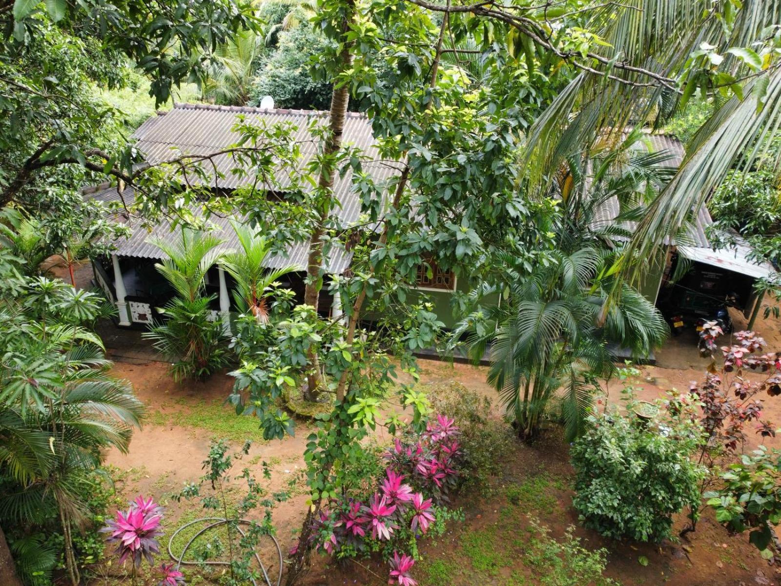 Green Bamboo House Sigiriya Luaran gambar